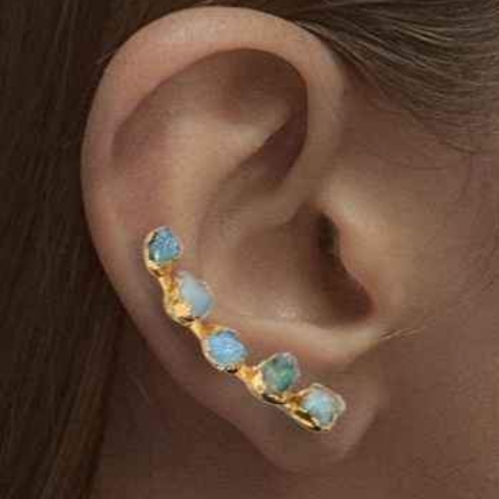 Stone Ear Climbers (Earrings)